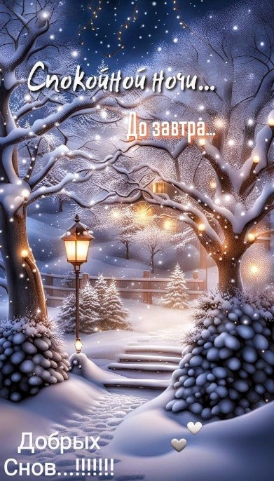 Тихой зимней ночи! До завтра!