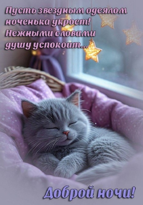 Красивая открытка «Доброй ночи» со спящим котенком