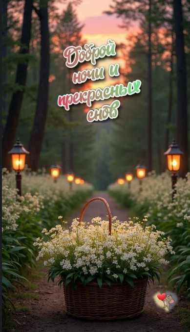 Открытка Доброй ночи и прекрасных снов