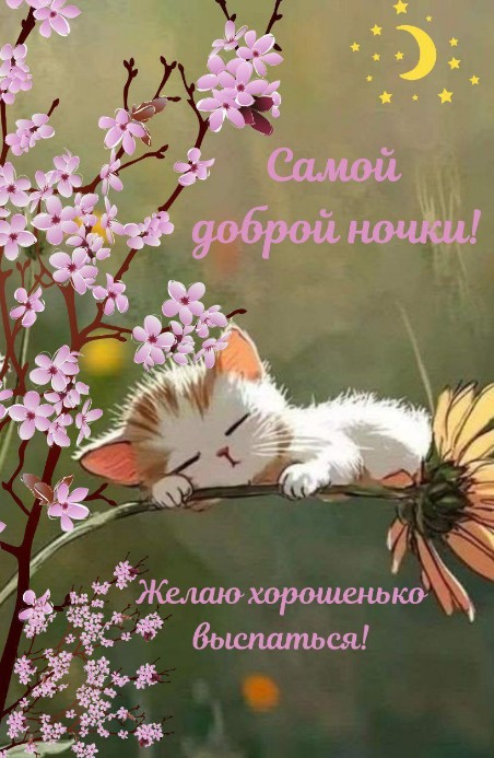 Пожелайте близким сладких снов с этой нежной открыткой.