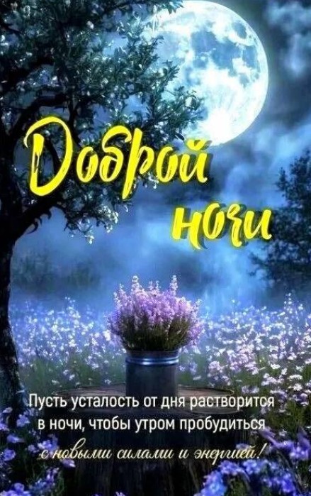 Открытка с пожеланием доброй ночи