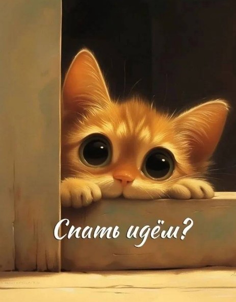 Открытка с милым котенком и надписью Спать идем?