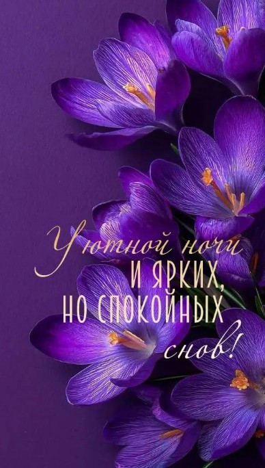 Уютной ночи и ярких, спокойных снов!