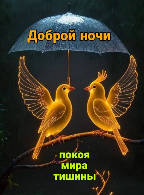 Доброй ночи, покоя, мира, тишины