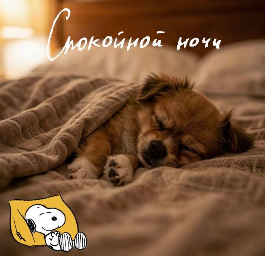 Открытка для пожелания спокойной ночи.