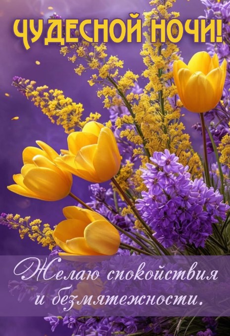 Чудесной ночи!