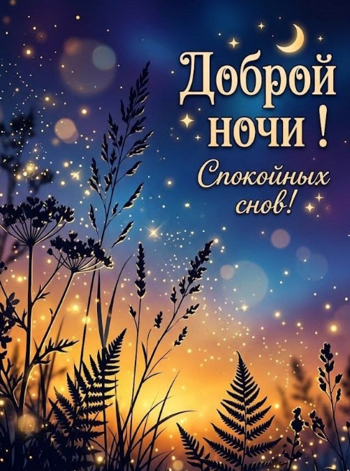 Доброй ночи и спокойных снов 