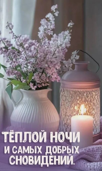 Теплой ночи и самых добрых сновидений