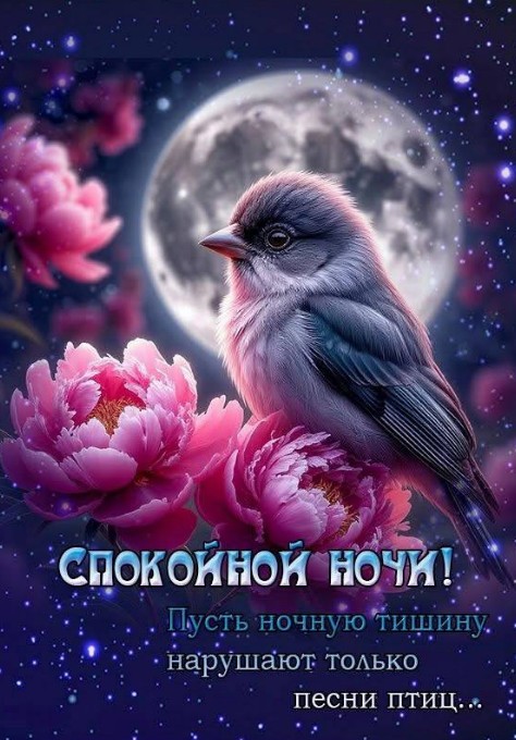 Спокойной ночи!