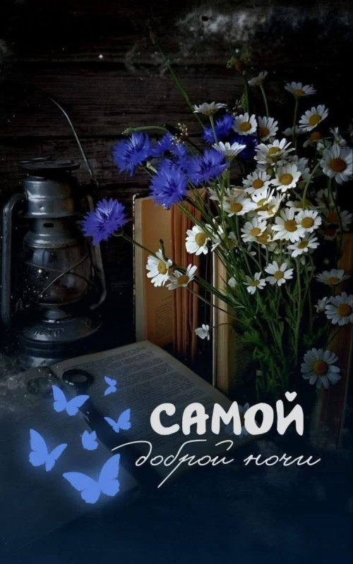 Самой доброй ночи