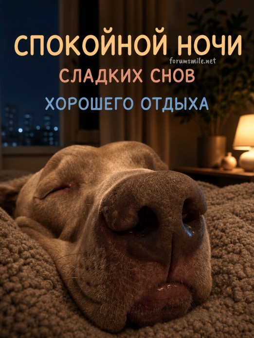 Милая собака сладко спит на мягком пледе, надпись Спокойной ночи, сладких снов