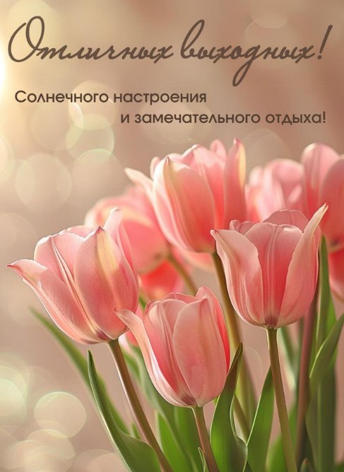 Открытка с пожеланием отличных выходных и тюльпанами