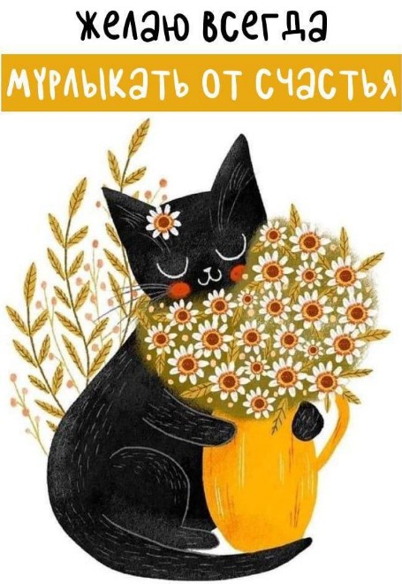 Черный кот с цветком на голове обнимает желтый кувшин с букетом ромашек, надпись сверху