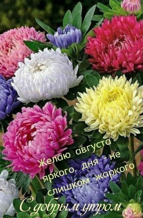Желаю августа яркого, дня - не слишком жаркого