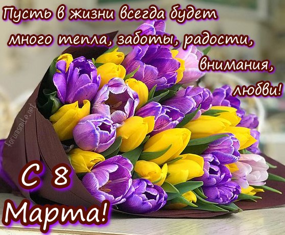 Красивая открытка на 8 марта с тюльпанами