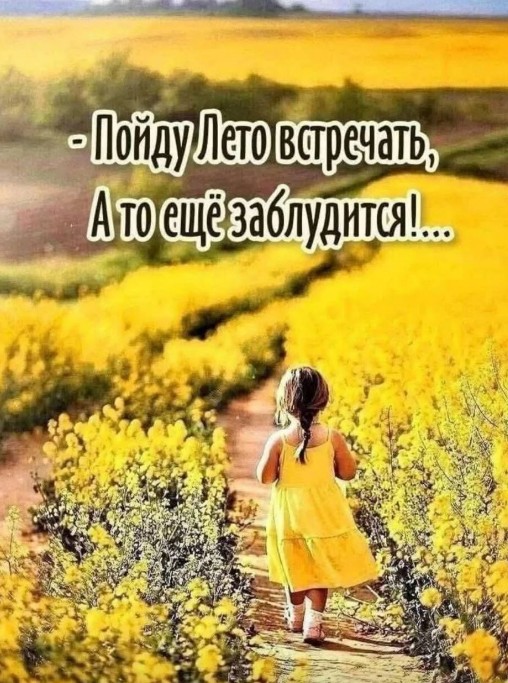 Открытка Пойду Лето встречать – красивая летняя картинка