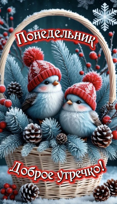 Чудесного зимнего понедельника! Легкого и удачного дня!