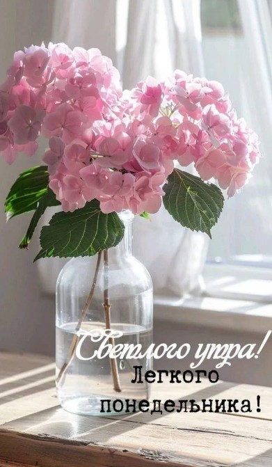 Светлого утра и легкого понедельника