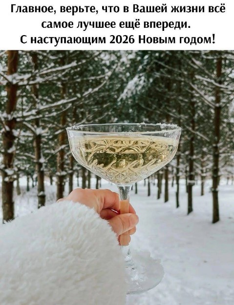 С наступающим 2026 Новым годом!