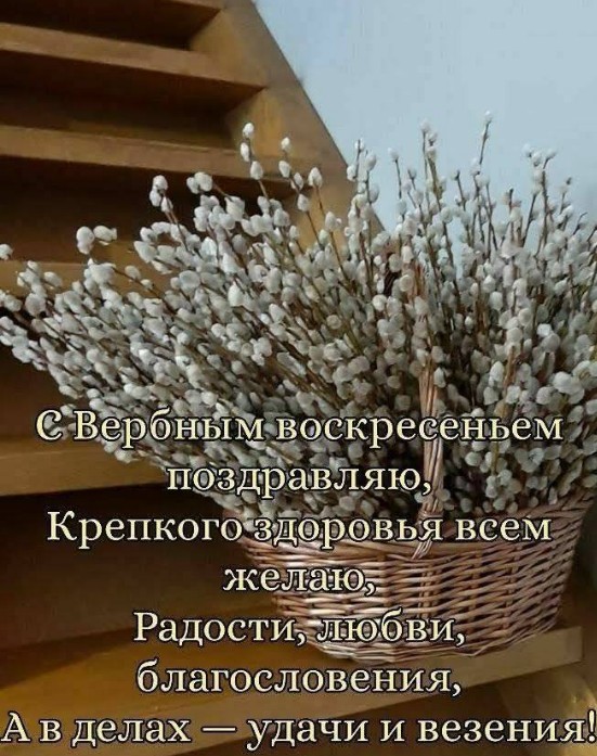 Пышный букет веточек вербы в плетеной корзине, открытка с поздравлением на Вербное воскресенье