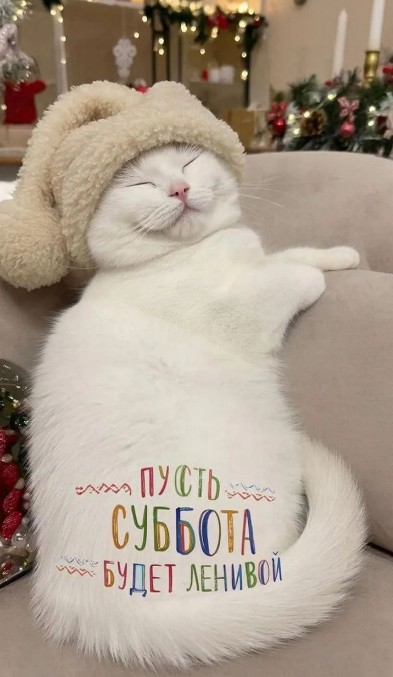 Открытка с милым котом: Пусть суббота будет ленивой