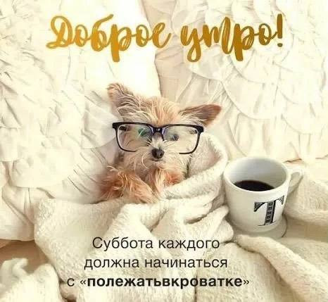 Открытка Доброе утро субботы 