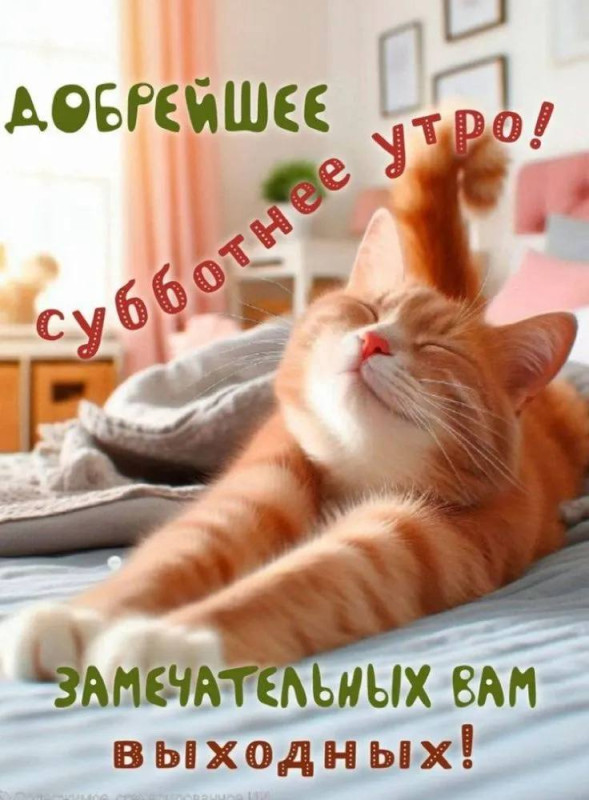 Милый рыжий кот сладко потягивается на кровати, открытка с надписью доброе субботнее утро и пожеланием отличных выходных