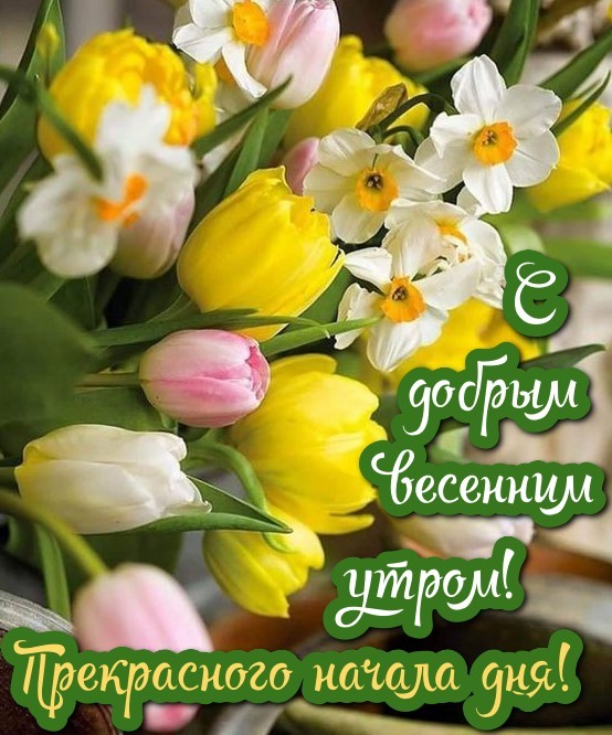 Пожелание доброго утра и хорошего дня с тюльпанами и ромашками