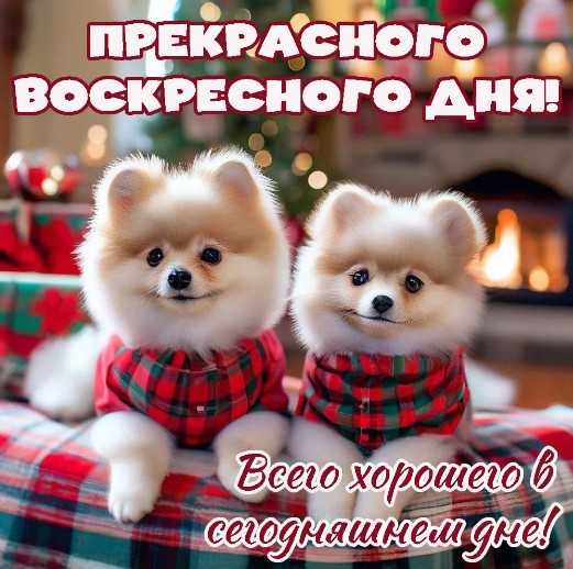 Желаю хорошего воскресенья, домашнего уюта и душевного тепла!