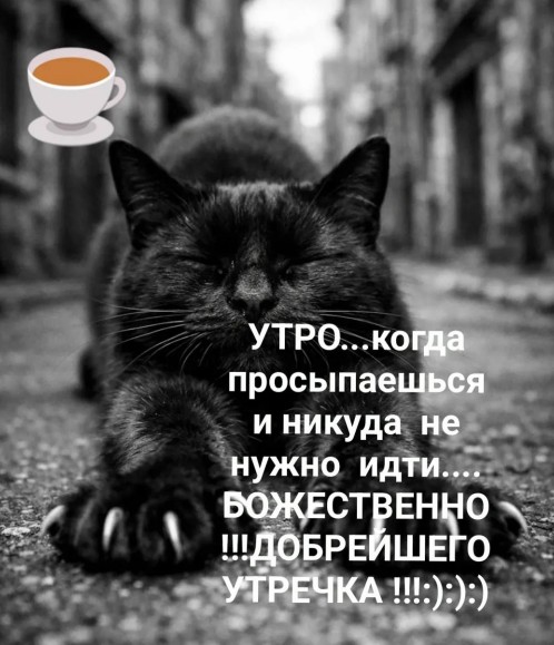 Открытка Доброе утро, когда просыпаешься и никуда не нужно идти