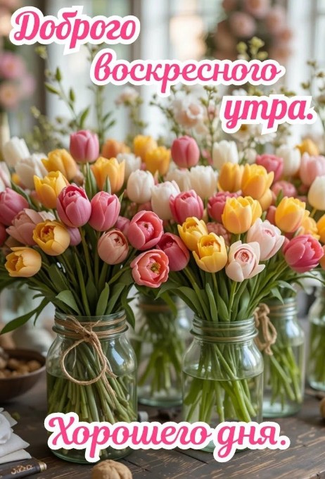 Букет разноцветных тюльпанов в стеклянных вазах с надписью Доброго воскресного утра