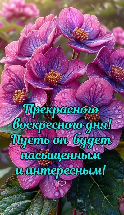 Красивая открытка с пожеланием доброго воскресенья