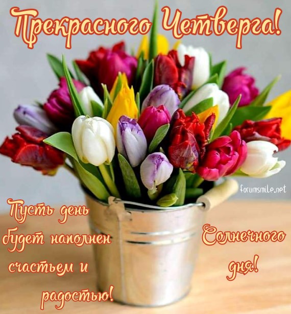Прекрасного четверга, открытка с тюльпанами