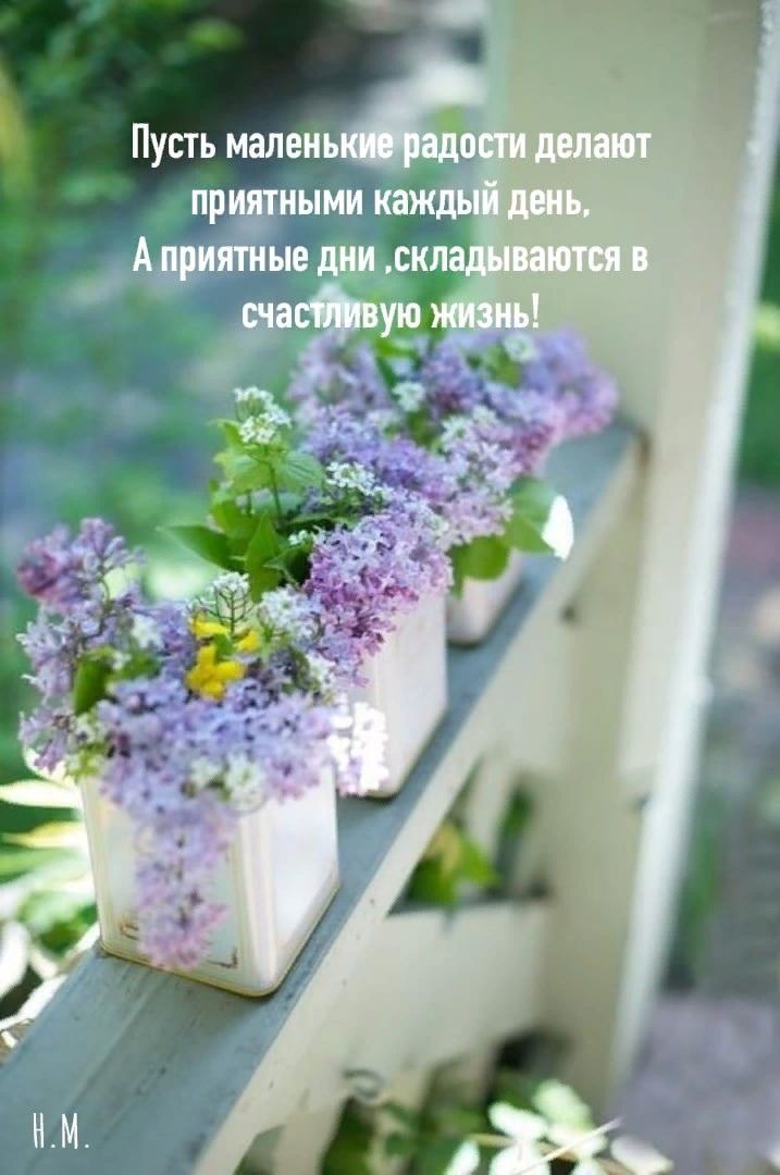 Красивое пожелание приятного дня