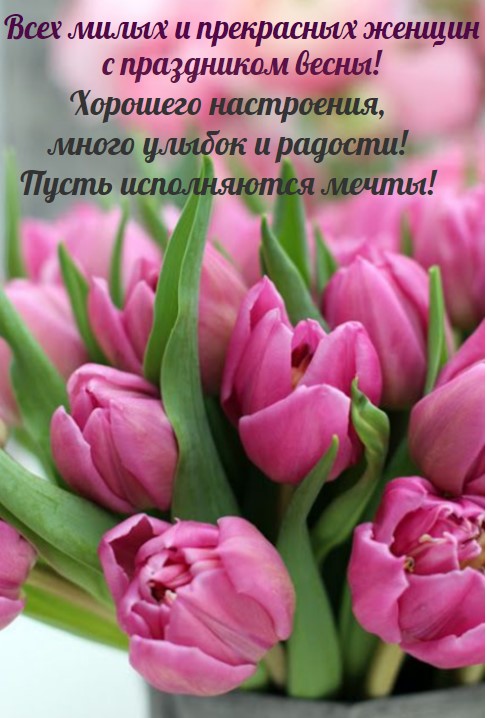 Открытка с тюльпанами на 8 марта и красивыми пожеланиями 