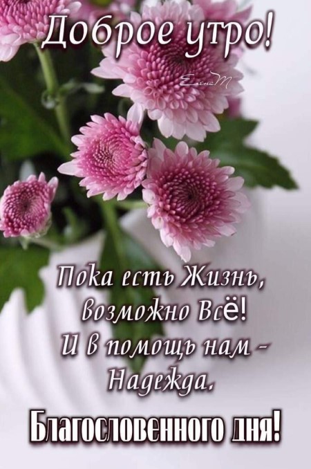2f2ec817d6143253dc0ce6724e8b06a9.jpg