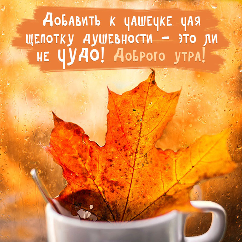 Открытка с добрым осенним утром