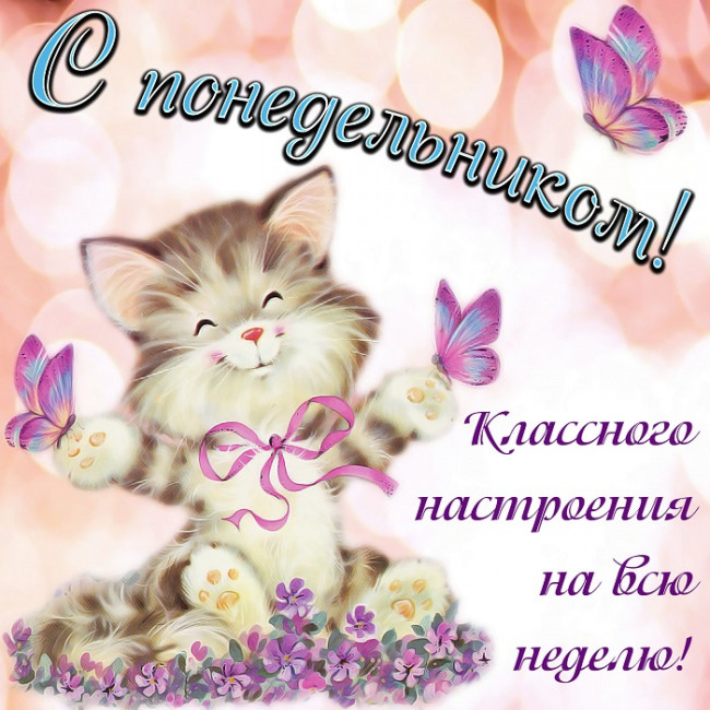 Открытка с понедельником котенок и бабочки