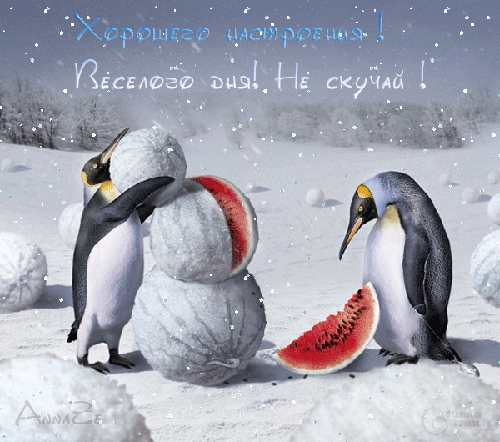 Мерцающая открытка зимняя с пингвинами для настроения 