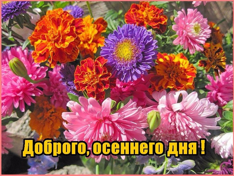 Открытка с красивым осенним букетом цветов и надписью доброго дня