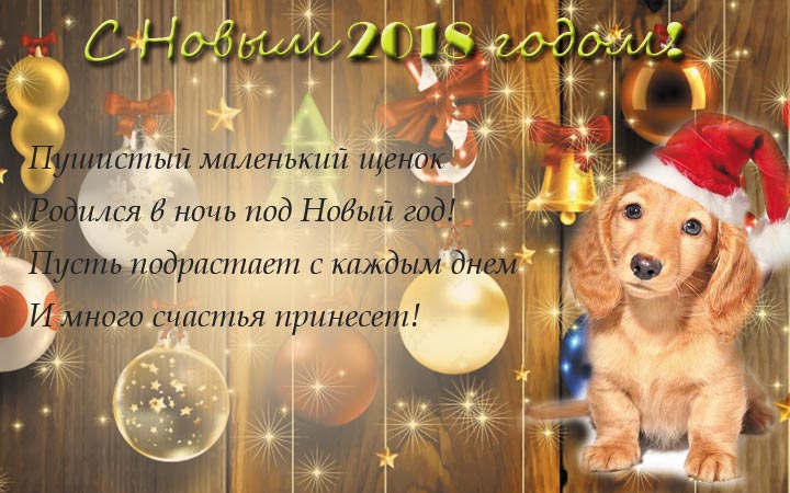 Поздравления с Новым годом желтой Собаки 