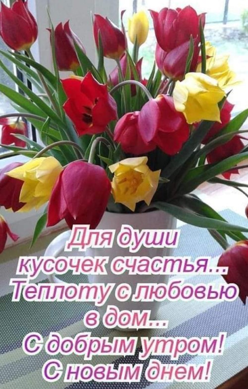 Открытка доброе утро и хорошего дня, ваза с тюльпанами