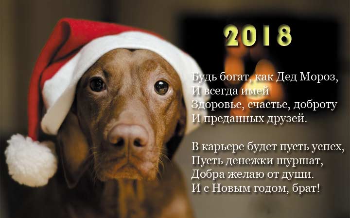 Открытка брату с Новым годом Собаки