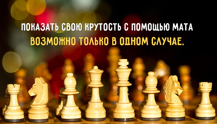 Показать свою крутость с помощью мата возможно только в шахматах