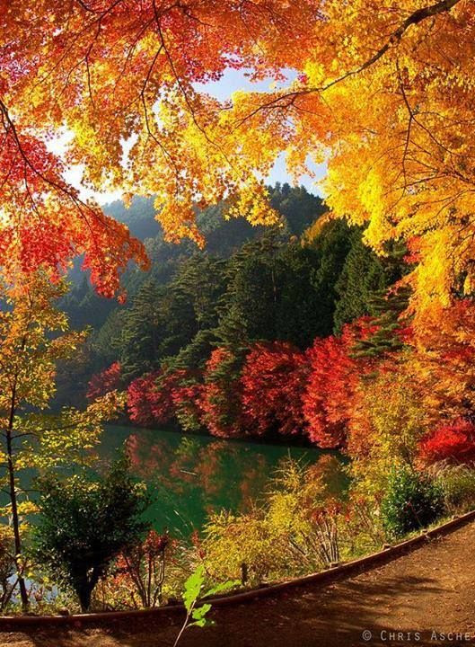 Картинка прекрасная, очаровательная осень