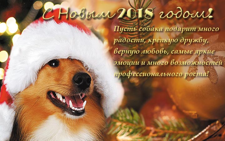 пожелание с новым годом 2018
