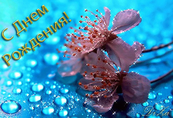 Картинка С Днем рождения для форума, блога с кодами для вставки 