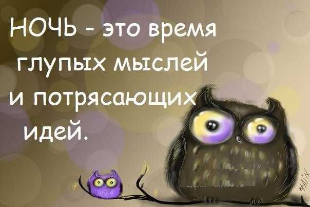 Ночь - это время глупых мыслей и потрясающих идей!
