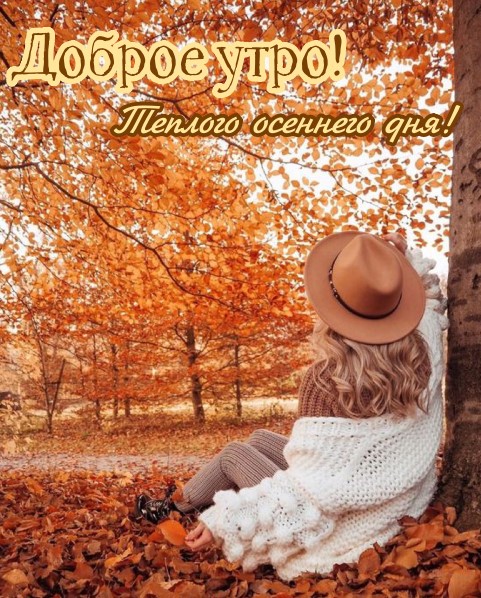 Доброе осеннее утро, картинка