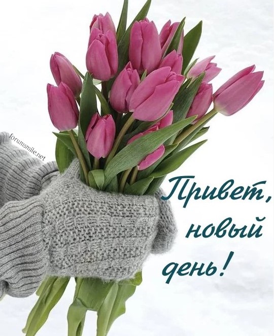 Привет, новый день